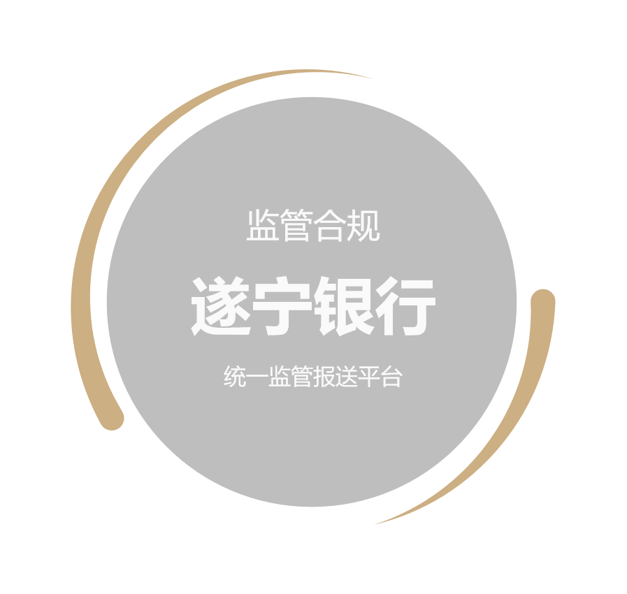 遂宁银行统一监管报送平台