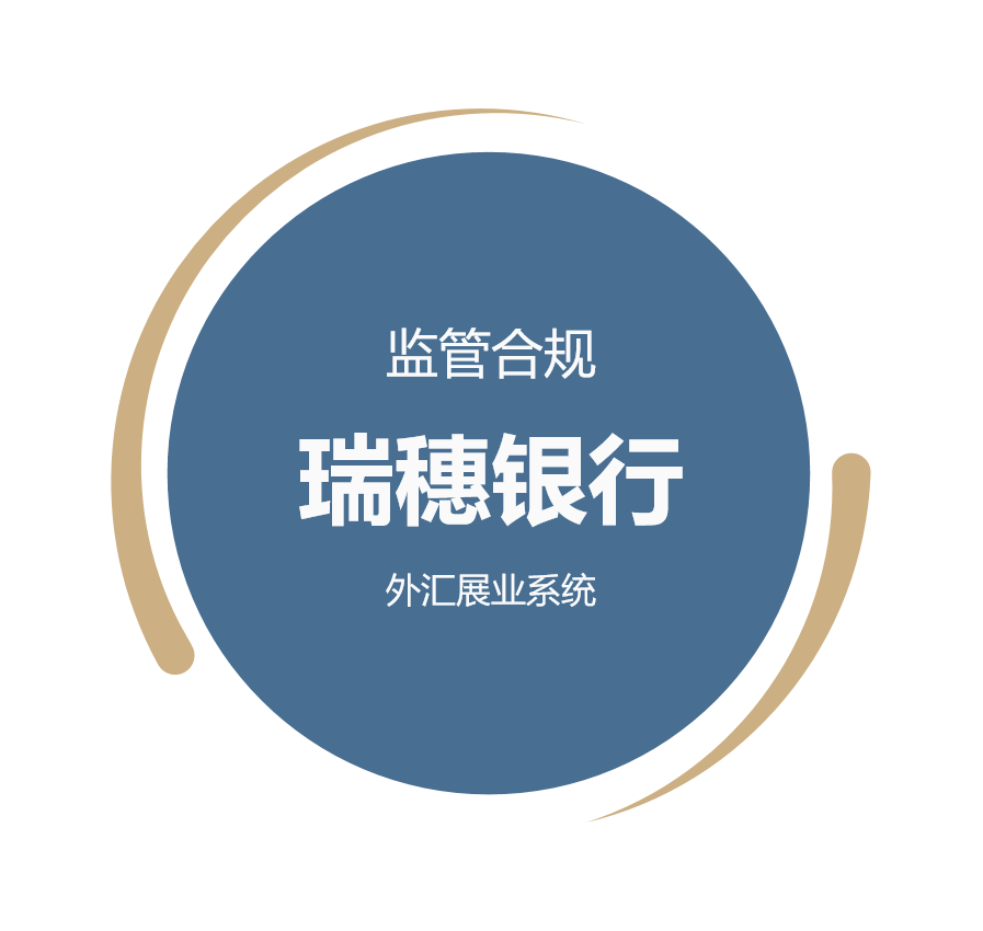 瑞穗银行外汇展业系统